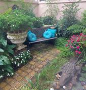 Sethunya Gardens Centurion Central Garden & Landscaping Contractors & Services 6_small