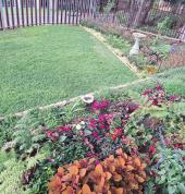 Sethunya Gardens Centurion Central Garden & Landscaping Contractors & Services 9_small