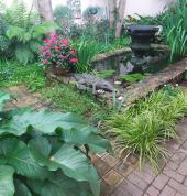 Sethunya Gardens Centurion Central Garden & Landscaping Contractors & Services 12_small