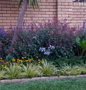 Sethunya Gardens Centurion Central Garden & Landscaping Contractors & Services 13_small