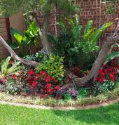 Sethunya Gardens Centurion Central Garden & Landscaping Contractors & Services 14_small