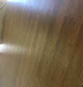 Suitable for Commercial school halls
