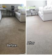 Carpet Cleaner's before& after