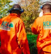 AICA Landscaping Centurion Central Tree Cutting , Felling & Removal 4_small