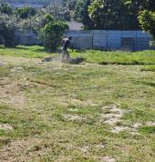 Community Park Cleanup