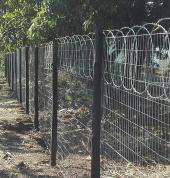 We do weld mesh fencing