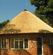 Thatch roofs