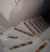 Site 5 pinelands before