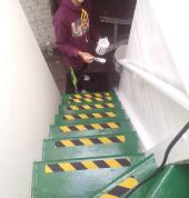 Site 5 pinelands after