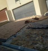 Maz Siyazama General Construction Pty Ltd Lansdowne Bathroom Repairs and Maintenance 9_small