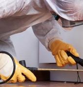 Pest Control Vredenburg