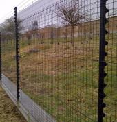 clear view fence with piggy back electric fence