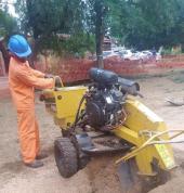 Immaculate Tree Felling☑️ Sunninghill Arborists & Tree Surgery 3_small