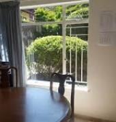 Immaculate Tree Felling☑️ Sunninghill Arborists & Tree Surgery 4_small