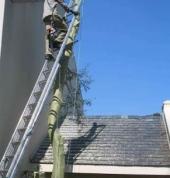 Immaculate Tree Felling☑️ Sunninghill Arborists & Tree Surgery 6_small