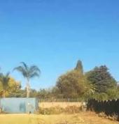 Immaculate Tree Felling☑️ Sunninghill Arborists & Tree Surgery 8_small