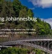 Immaculate Tree Felling☑️ Sunninghill Arborists & Tree Surgery 15_small