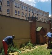 Immaculate Tree Felling☑️ Sunninghill Arborists & Tree Surgery 17_small