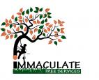 10% Discount Sunninghill Arborists & Tree Surgery