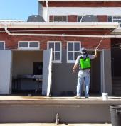 Applying Fly Treatment