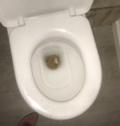 SM Services Cleanings Cape Town Central Builder Clean Ups 3_small