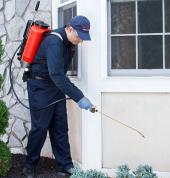 Pest Managers Cape Town Cape Town Central Pest Control Contractors & Services 2_small