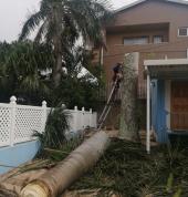 JAYDEN TREE FELLING Central Westville Land Clearing 2_small