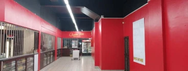 HOUSE RENOVATION Sandton CBD Carpenters