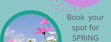 Holiday-Ready Homes ✨ Book Your December Clean! Betty&#039;s Bay Cleaning Contractors &amp; Services