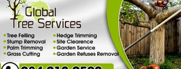 Tree felling services, landscaping, Grass cutting, Garden Services Cape Town Central Tree Cutting , Felling &amp; Removal