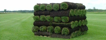 INSTANTLAWNSUPPY Bedfordview 1