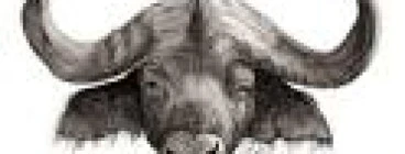 Nyari Construction and Maintenance (Pty)Ltd