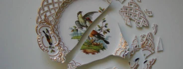 Plate broken into many pieces