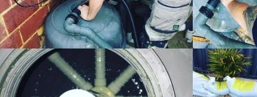 Joburg Pools Craighall 1