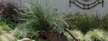 HORTICULTRIX Kloof 1