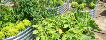 Elongated Corrugated Planter