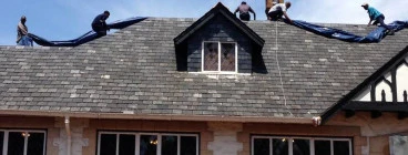 Dynamic Pest Services Durban CBD 1