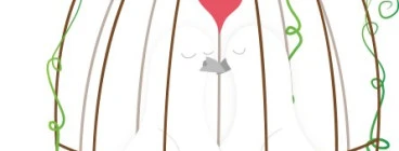 Bird Proofing Cape Town Durbanville 1