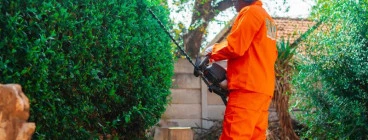 AICA Landscaping to Host Safety in Tree Felling Event – June 2025 Centurion Central Tree Cutting , Felling &amp; Removal