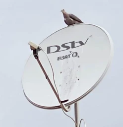 DSTV ACCREDITED SERVICES _ SIGNAL CORRECTION R400 Phoenix Central Televisions &amp; Screens