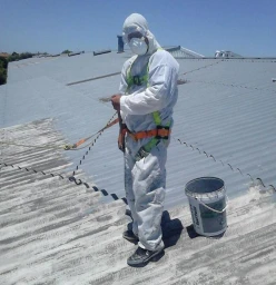 Painting, Waterproofing, Roofing Contractor Cape Town Central Roofing Contractors