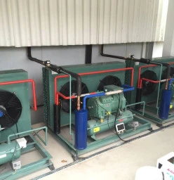 Bosman ADAMA cold rooms