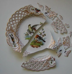 Plate broken into many pieces