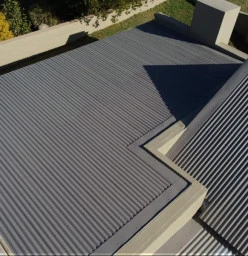 Roof cleaning and painting