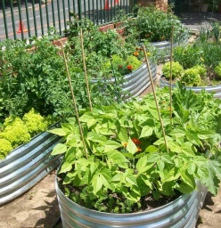 Elongated Corrugated Planter
