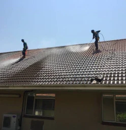 Roof cleaning SAPPI