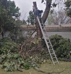 Food parcels Boskruin Tree Cutting , Felling &amp; Removal