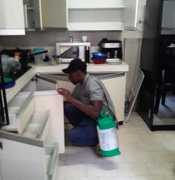 Winter fumigation sale Aston Manor Infestation &amp; Fumigation