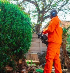 AICA Landscaping to Host Safety in Tree Felling Event – June 2025 Centurion Central Tree Cutting , Felling &amp; Removal