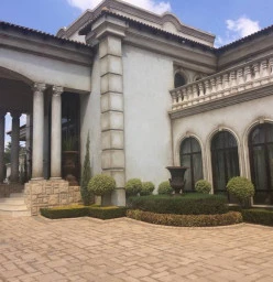 Wash Paint( Mansion Bedfordview)